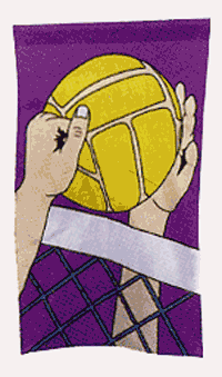 Volleyball Applique Flag 28x48